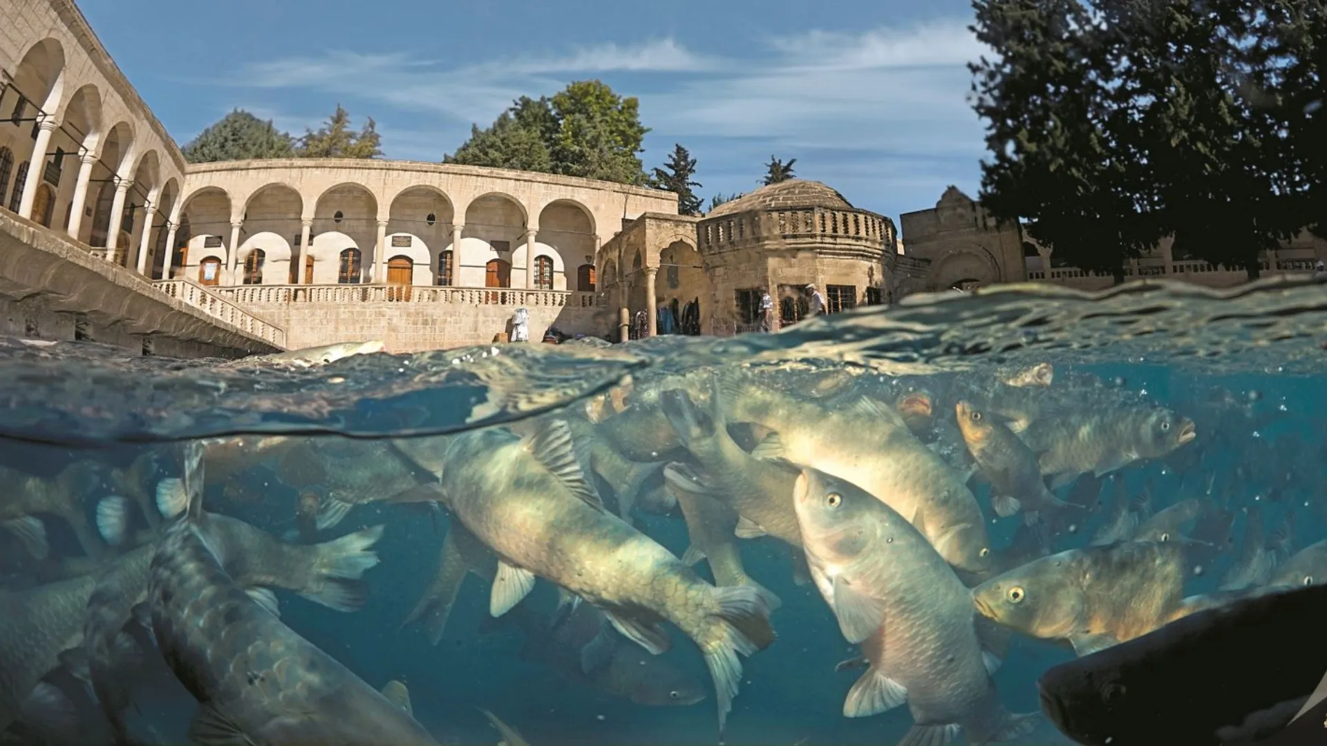 Tour Image 2