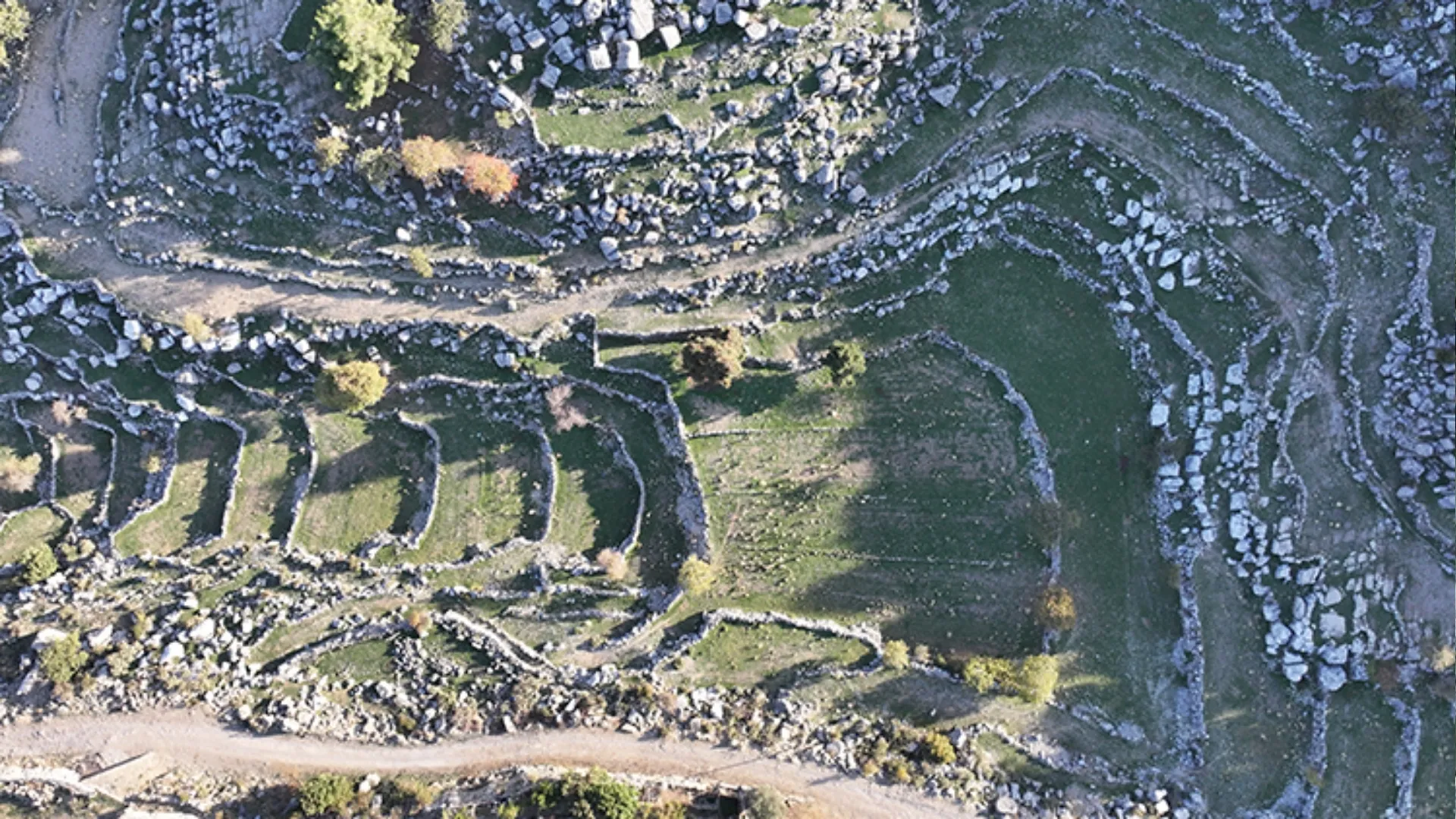 Tour Image 7